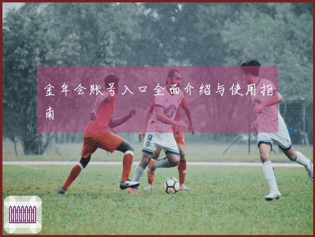 金年会账号入口全面介绍与使用指南