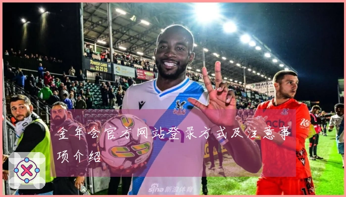 金年会官方网站登录方式及注意事项介绍