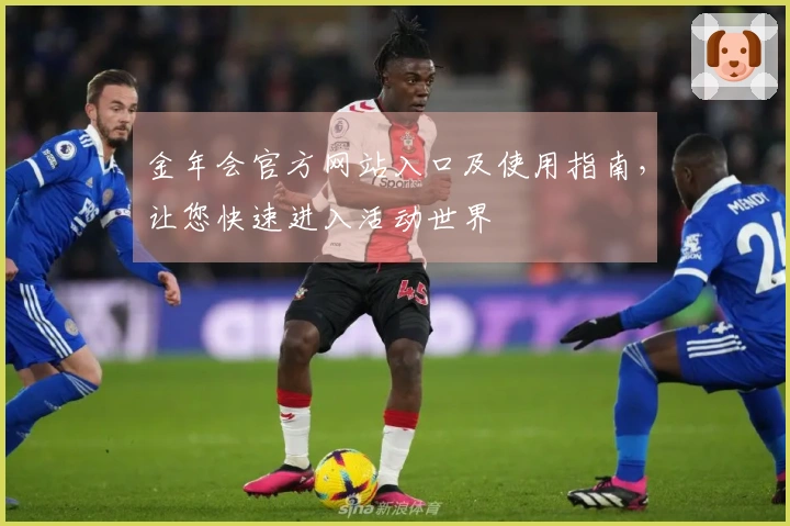 金年会官方网站入口及使用指南，让您快速进入活动世界